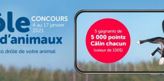 Concours Mondou Drôle de Photos d'Animaux 2021