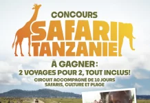 Concours Latulippe Safari Tanzanie 2024