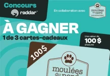 Concours Raddar Moulée du Nord 2024